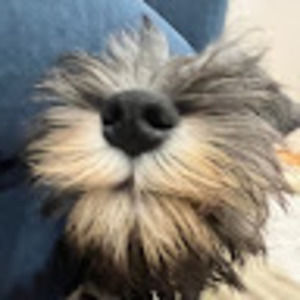 Meet your Posher, Finn